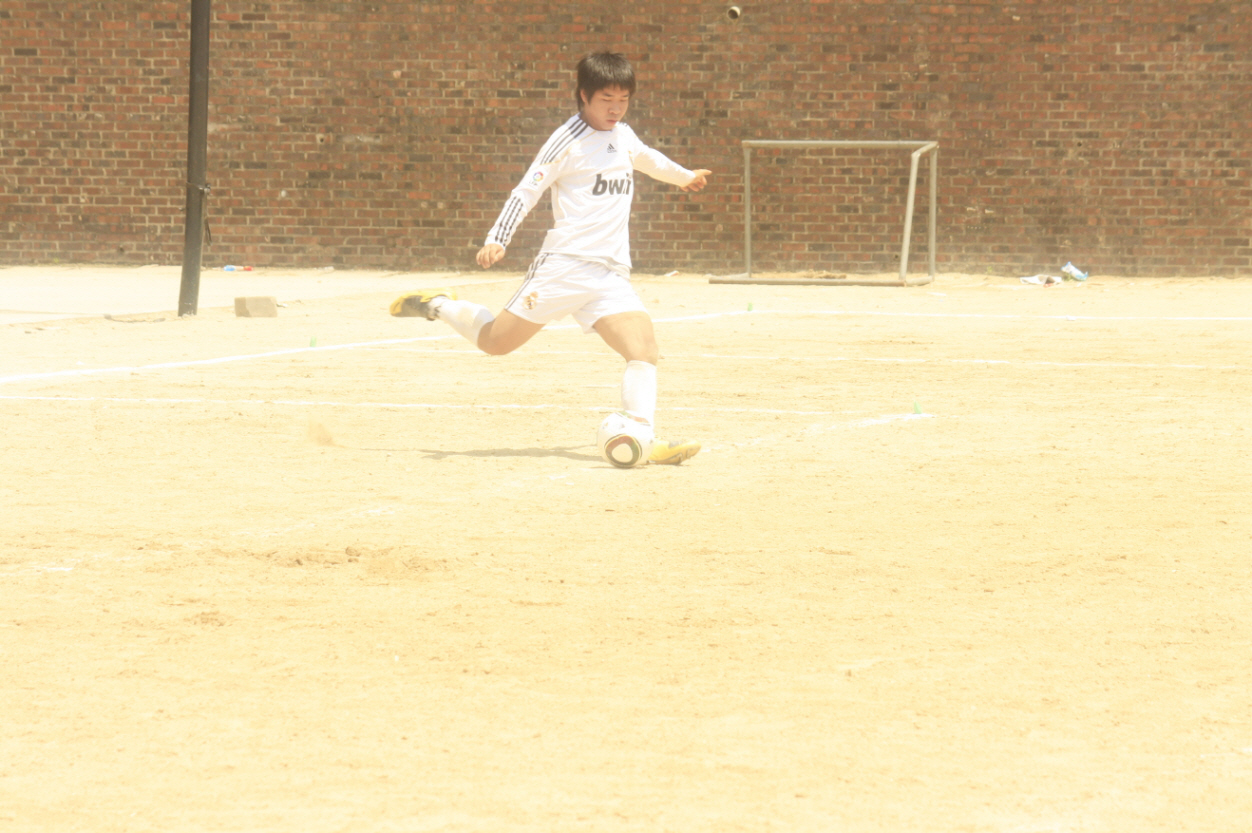 2010년 우송체육대회
